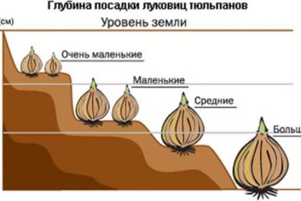 Что такое кракен маркет