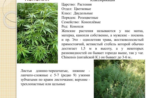 Сайты с наркотой
