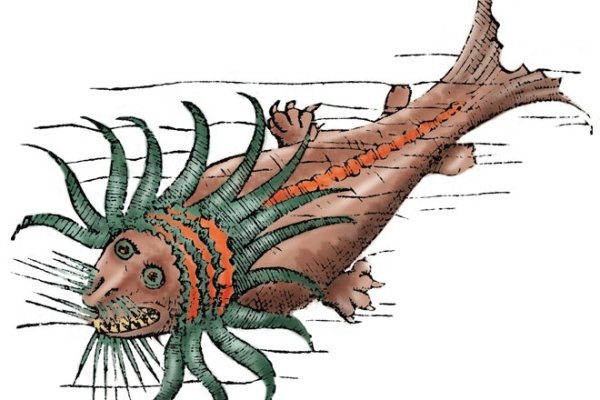Solaris kraken