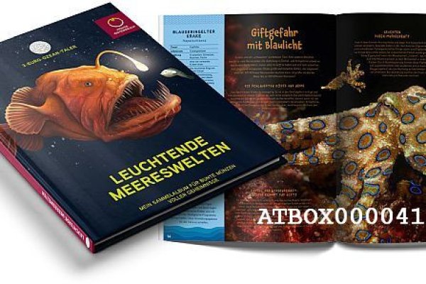 Что такое кракен площадка