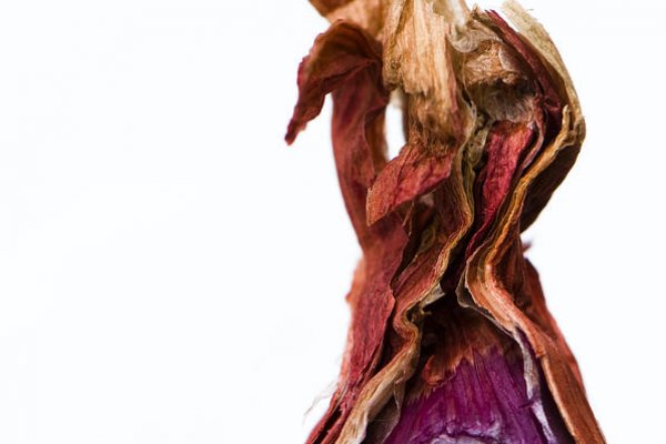 Кракен зеркало onion