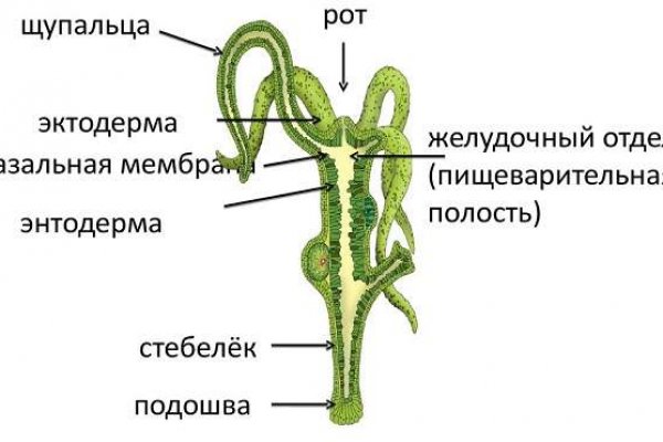Кракен ссылка тор