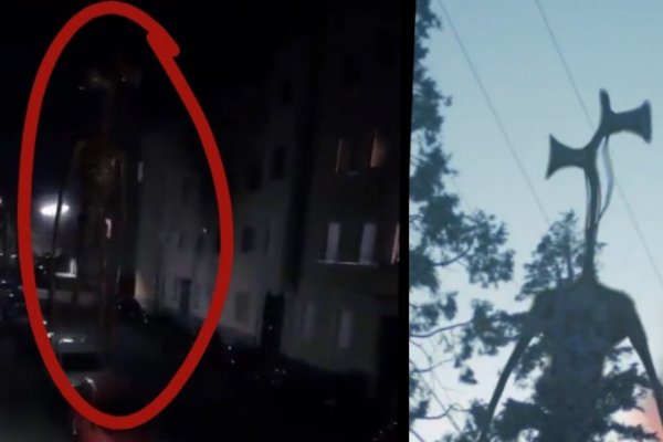 Аналог hydra