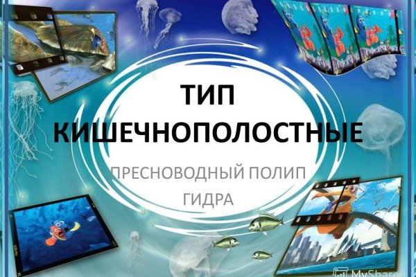 Кракен как войти через тор