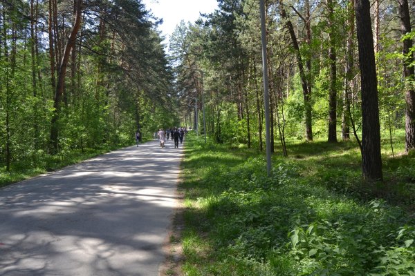 Кракен кз