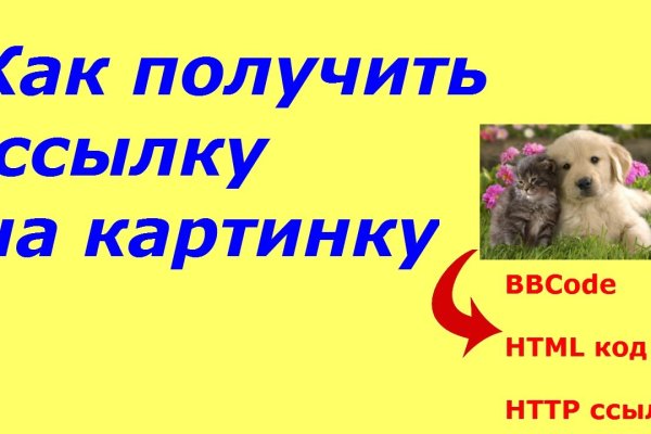 Kraken tor link